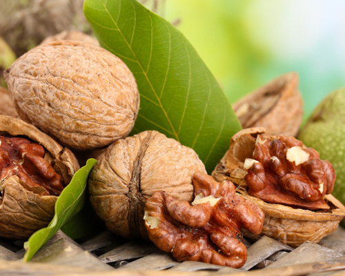 胡桃肉的应用价值
