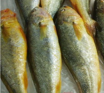 小黄鱼的营养价值   你都记下来了吗