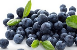 蓝莓的功效与作用  增强记忆力