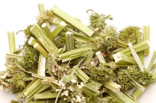 益母草的功效与作用及食用方法  活血调经好帮手