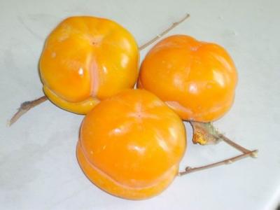 柿子的功效与作用及吃柿子的注意事项