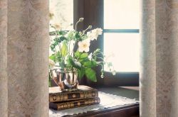 家中养什么花好 家里养花风水要注意什么