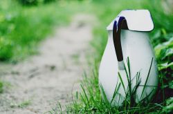 水壶水垢有什么危害 怎么才能完全清除干净