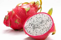 美容养颜 多吃火龙果的好处介绍