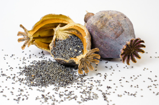 罂粟壳有什么作用 一般有六大类