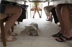 小腿肌肉萎缩 原因多多需注意