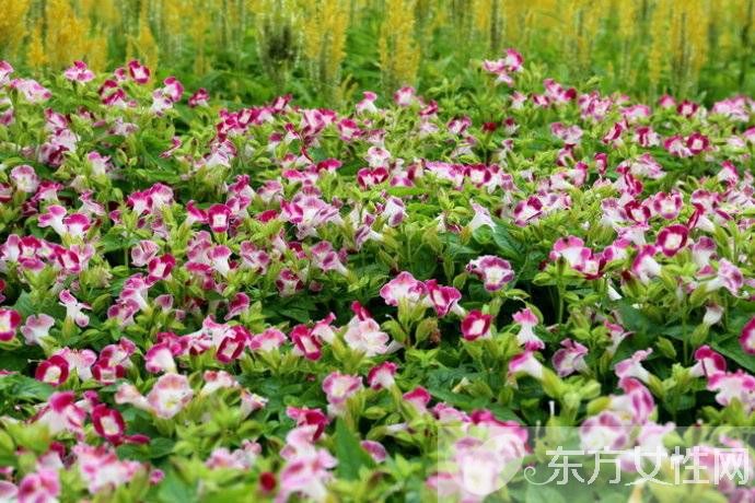 长寿养生方法有哪些 平时养生是关键