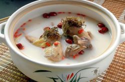 鸽子汤做法大全 冬季滋补推荐5种鸽子汤