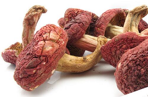 红菇的营养价值　抗癌养颜提高免疫力