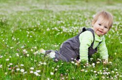 儿童菜谱家常菜做法 推荐宝宝爱吃的七道营养餐