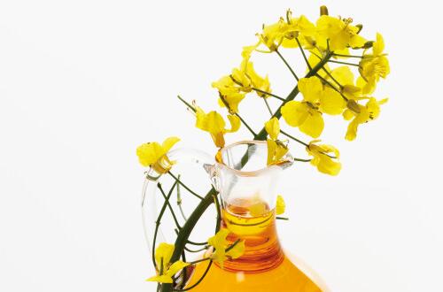 菜籽油的营养价值    软化血管及延缓衰老