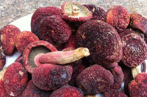 红菇的营养价值　抗癌养颜提高免疫力