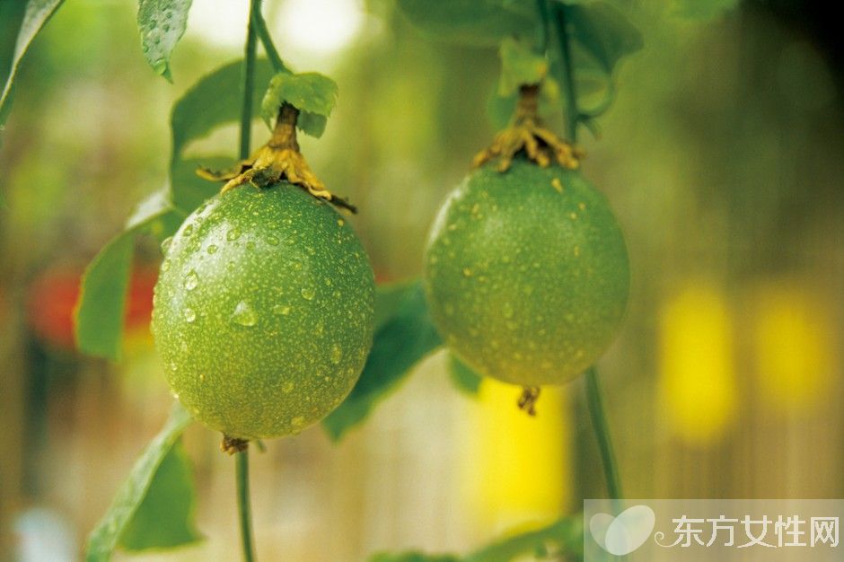 百香果汁的功效与作用 百香果怎么吃最好