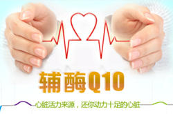 辅酶q10的作用 辅酶q10有什么样的功效