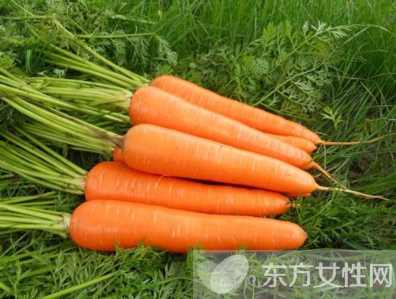 四大清肠排毒方法 让肠胃的代谢更为顺畅