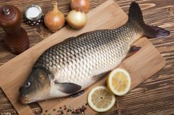 家常鲫鱼的做法大全 4款美味做法轻松易学