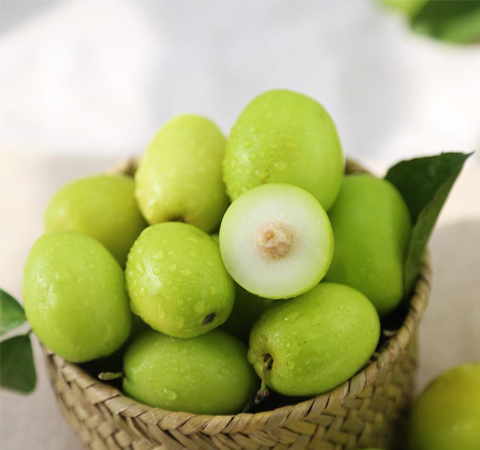 增强人体免疫力 青枣子的功效与作用介绍