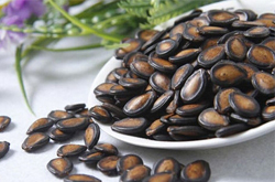 清肺润肠益处多 黑瓜子的营养价值介绍