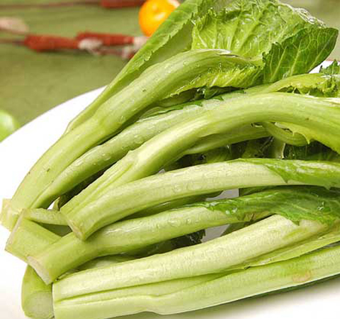 解除疲劳 详解芥菜是什么和芥菜的食用方法
