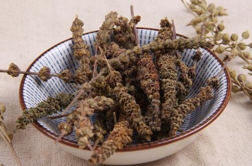 荆芥穗的功效与作用 解表散风消疮