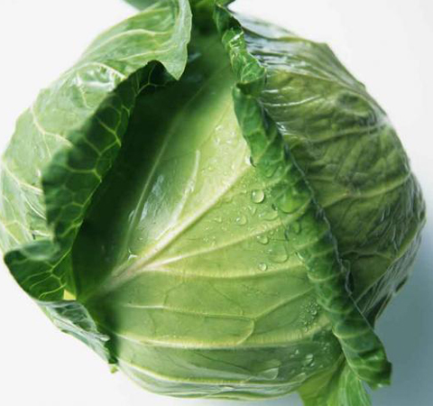 富含各种营养元素 卷心菜的营养价值介绍