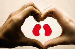 最适合女人保肾的10种食物