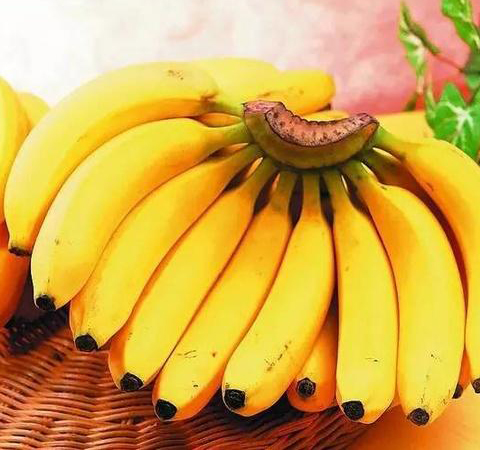 香蕉加牛奶能吃吗 香蕉和牛奶同吃有啥好处