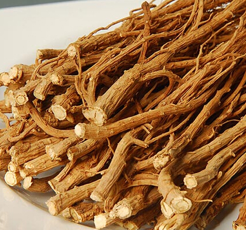 春柴胡的功效与作用及用药禁忌介绍