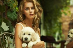 轻度脂肪肝的原因及治疗 轻度脂肪肝的危害有哪些