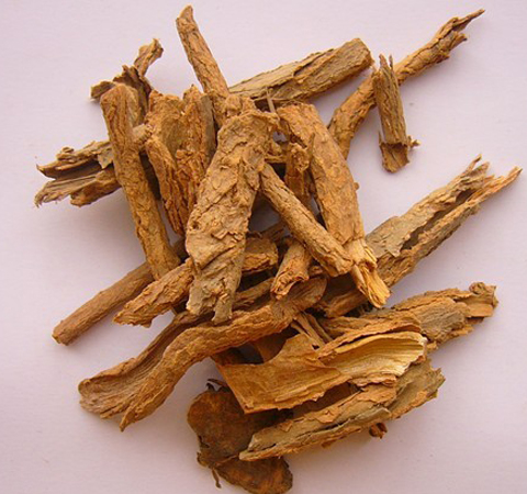 地骨皮的作用与功效及食用方法介绍