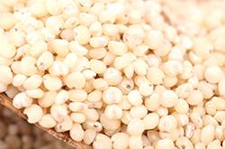 高粱米的做法公开 高粱米的烹饪小技巧