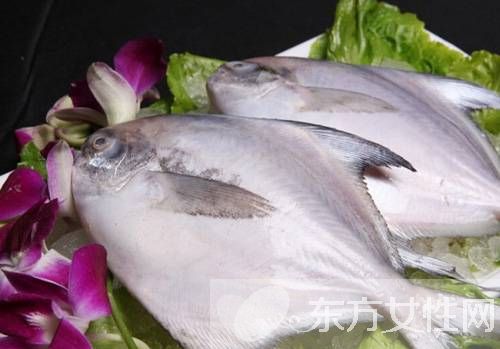 平鱼的做法大全 平鱼的选购还有这讲究