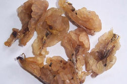 蛤蟆油的副作用及食用方法介绍