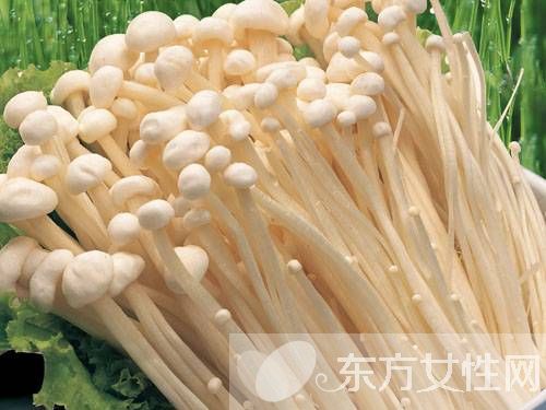金针菇的营养价值大盘点 金针菇不止营养丰富这么简单