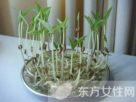 绿豆芽怎么炒好吃 盘点绿豆芽的食用禁忌