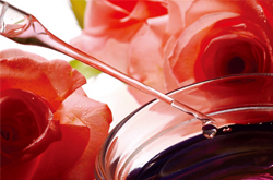 玫瑰精油的功效作用与使用方法介绍