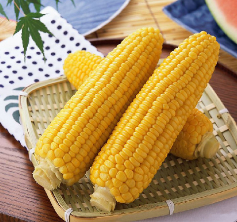 玉米和玉米须的药用价值有哪些