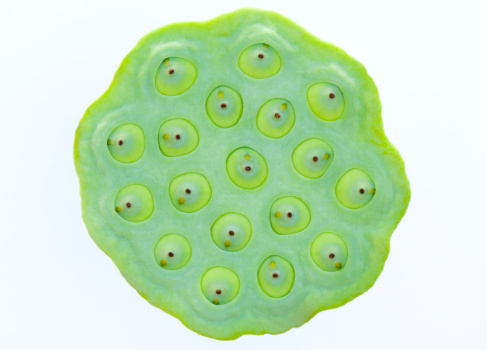 莲子心的作用 食用方法及副作用介绍