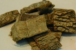 杜仲的功效与作用及食用方法介绍