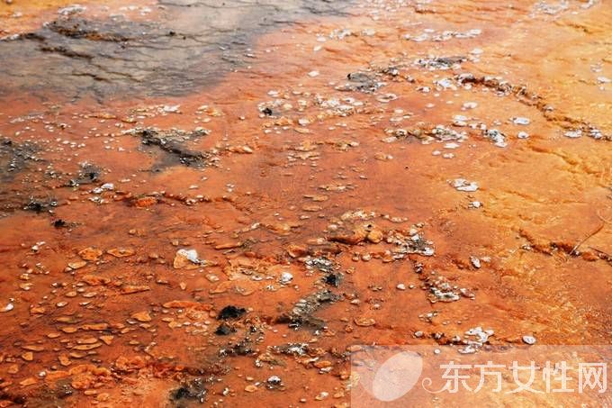 衣服上的铁锈怎么洗掉 铁锈可用什么洗