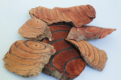 正确使用 鸡血藤的副作用有哪些