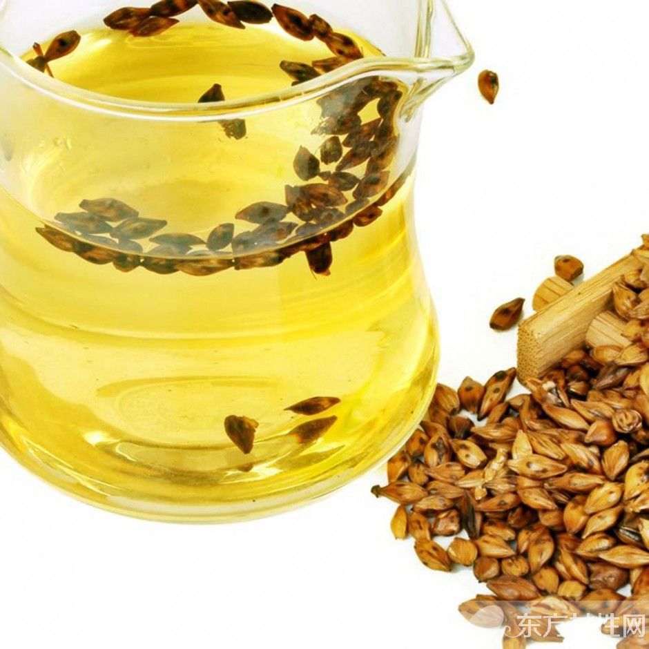 大麦茶有什么功效 喝大麦茶还能控油减肥