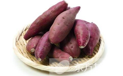 红薯不能和什么一起吃 吃红薯可导致的四种危害