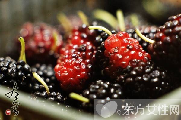 桑果的功效有哪些 这些人不宜食桑果