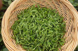 龙井是绿茶吗？龙井茶的作用介绍