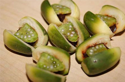 槟榔的功效与作用及食用方法介绍