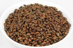 葡萄籽的功效和作用及副作用介绍