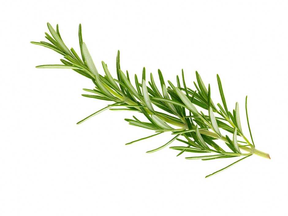 迷迭香的功效与作用 迷迭香还能这么食用