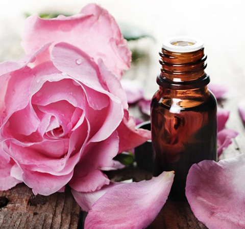 玫瑰精油的功效作用与使用方法介绍