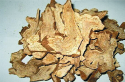 美白祛斑 白术的美容功效介绍